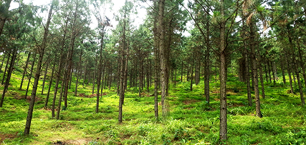 ���о��������֣����� �㣩