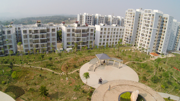 ���ŵ������