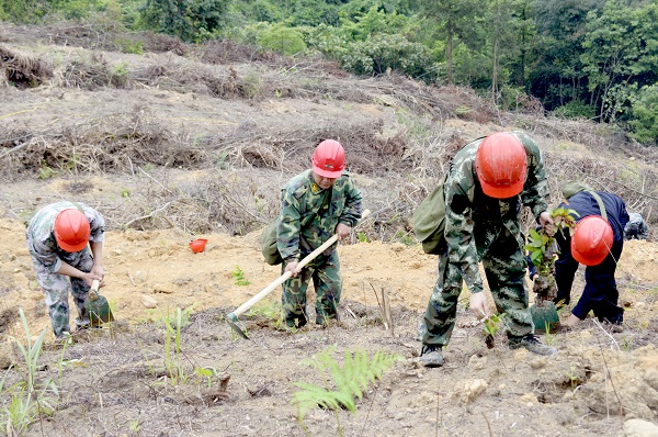 ɭ�ֹ����ΰ�Ѳ��