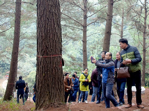 �������Ա����ͩ���ɴ󾶲�չʾ�������� �㣩